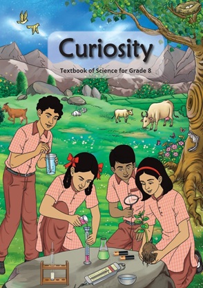 Curiosity