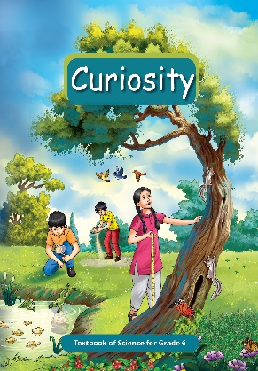 Curiosity