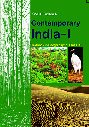 Contemporary India I